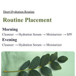 Deep hydration routine guide with morning and evening steps and a leaf on a green background.