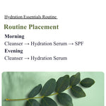 Text detailing a hydration essentials routine with a green leaf on a light green background
